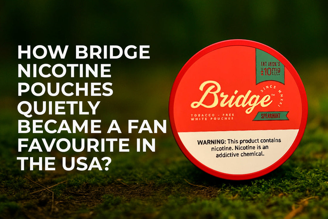 How Bridge Nicotine Pouches Quietly Became a Fan Favourite in the USA