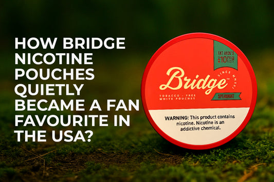 How Bridge Nicotine Pouches Quietly Became a Fan Favourite in the USA