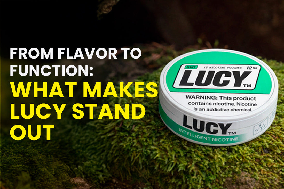 From Flavour to Function: What Makes Lucy Stand Out