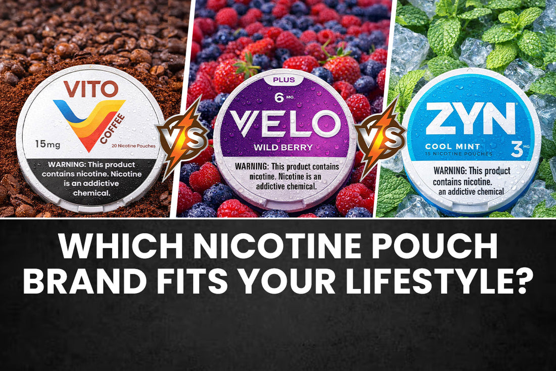 VITO vs ZYN vs VELO: Which Nicotine Pouch Brand Fits Your Lifestyle?