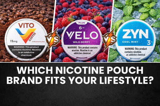 VITO vs ZYN vs VELO: Which Nicotine Pouch Brand Fits Your Lifestyle?