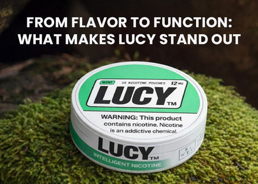 From Flavour to Function: What Makes Lucy Stand Out