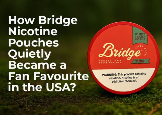 How Bridge Nicotine Pouches Quietly Became a Fan Favourite in the USA - www.usanico.com