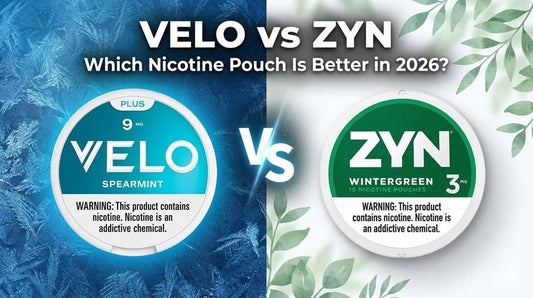 VELO vs ZYN: Which Nicotine Pouch Is Better in 2026? - www.usanico.com