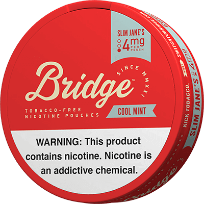 BRIDGE Mint 4mg Nicotine Pouches
