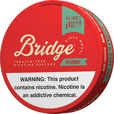 BRIDGE Spearmint 10mg Nicotine Pouches