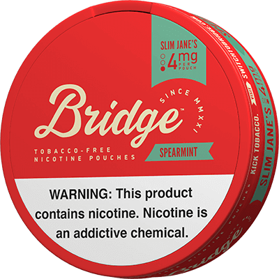 BRIDGE Spearmint 4mg Nicotine Pouches