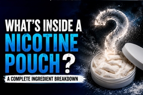 What's Inside a Nicotine Pouch? A Complete Ingredient Breakdown