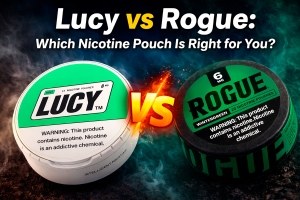 Lucy vs Rogue: Which Nicotine Pouch Is Right for You?