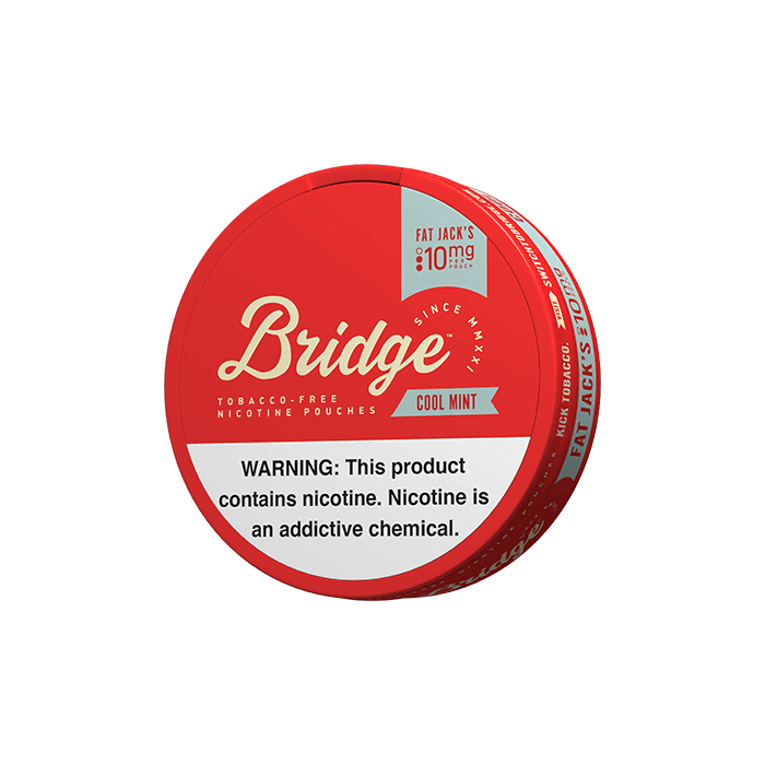 BRIDGE Mint 10mg Nicotine Pouches