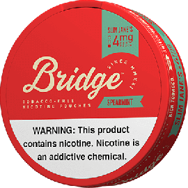BRIDGE Spearmint 4mg Nicotine Pouches