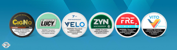 Social Acceptance of Nicotine Pouches in 2025 - www.usanico.com